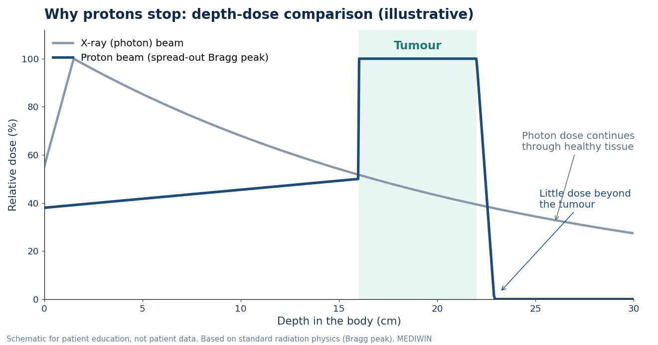 Proton therapy in Korea: depth-dose comparison of proton and X-ray beams