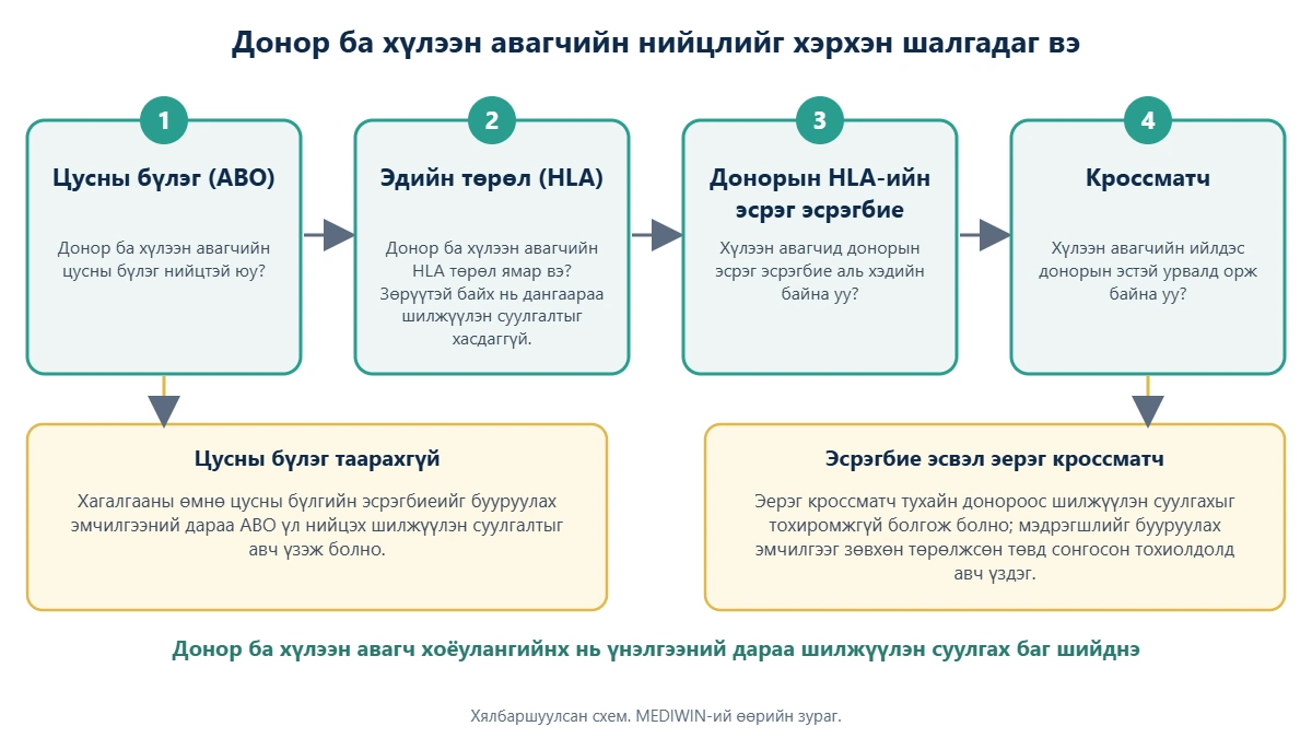 Бөөрний донор ба хүлээн авагчийн нийцлийн дөрвөн шалгалтын схем: цусны бүлэг, эдийн төрөл, донорын HLA-ийн эсрэг эсрэгбие, кроссматч, мөн цусны бүлэг таарахгүй эсвэл эсрэгбие илэрсэн үеийн сонголтууд