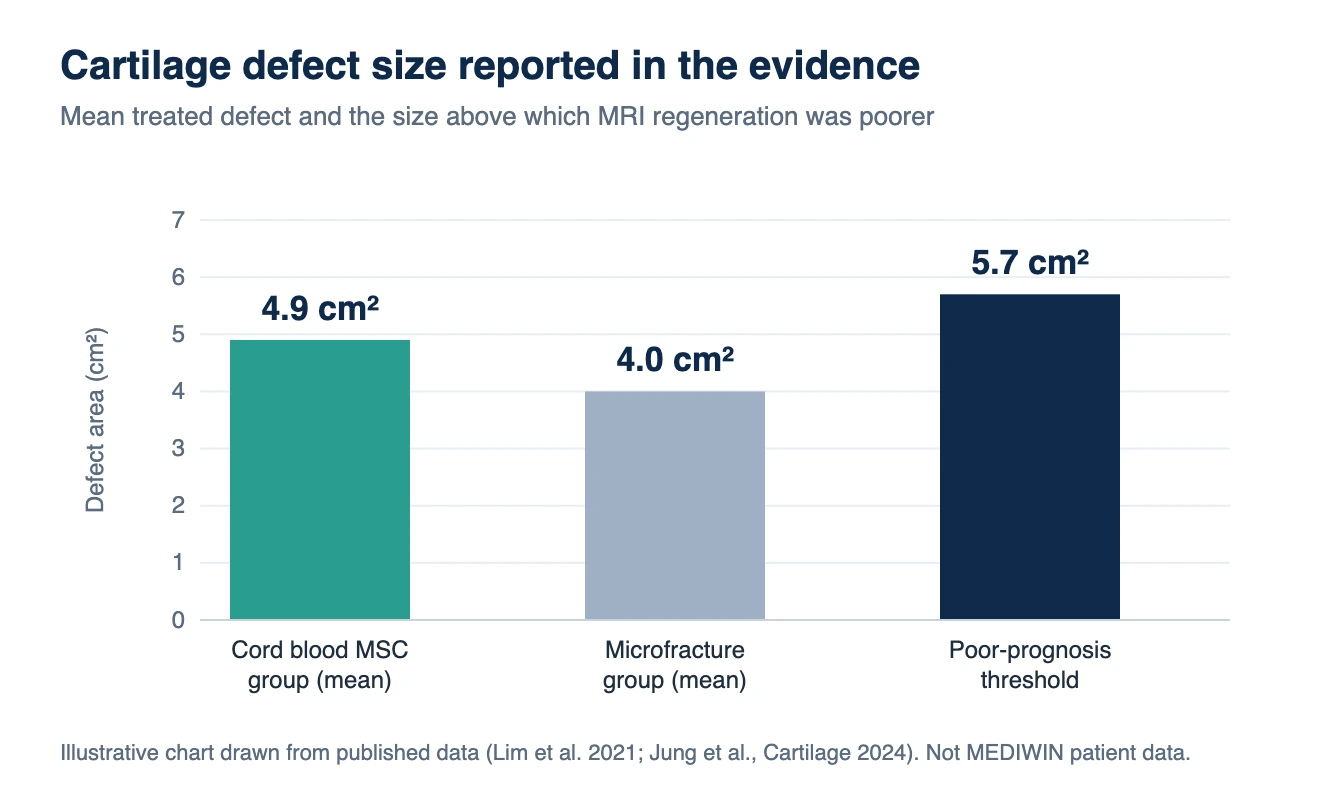 Knee cartilage regeneration in Korea: chart of cartilage defect size in square centimetres