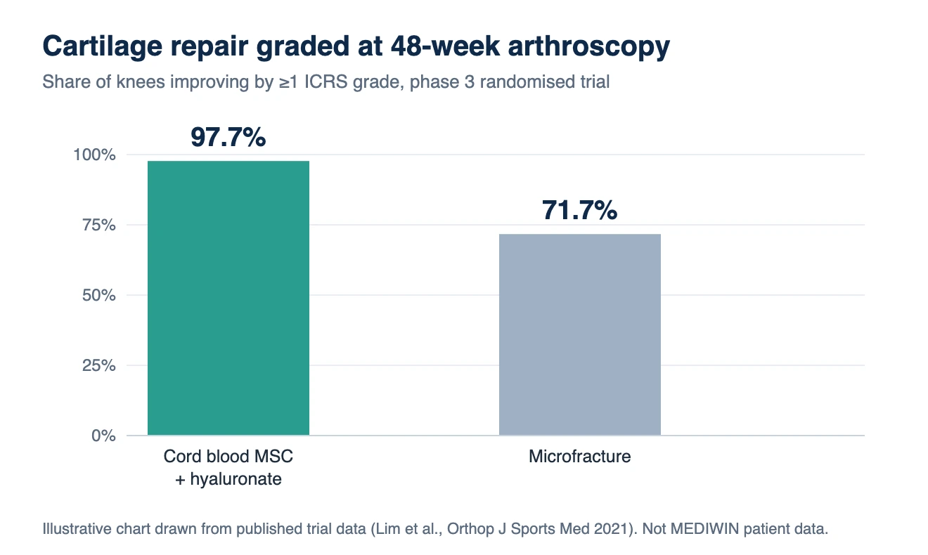 Knee cartilage regeneration in Korea: chart of ICRS cartilage repair improvement at 48 weeks